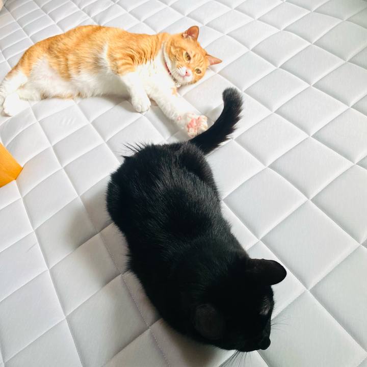 334e1a84 623f 451e 8a94 f148f290ba03 1753001640097