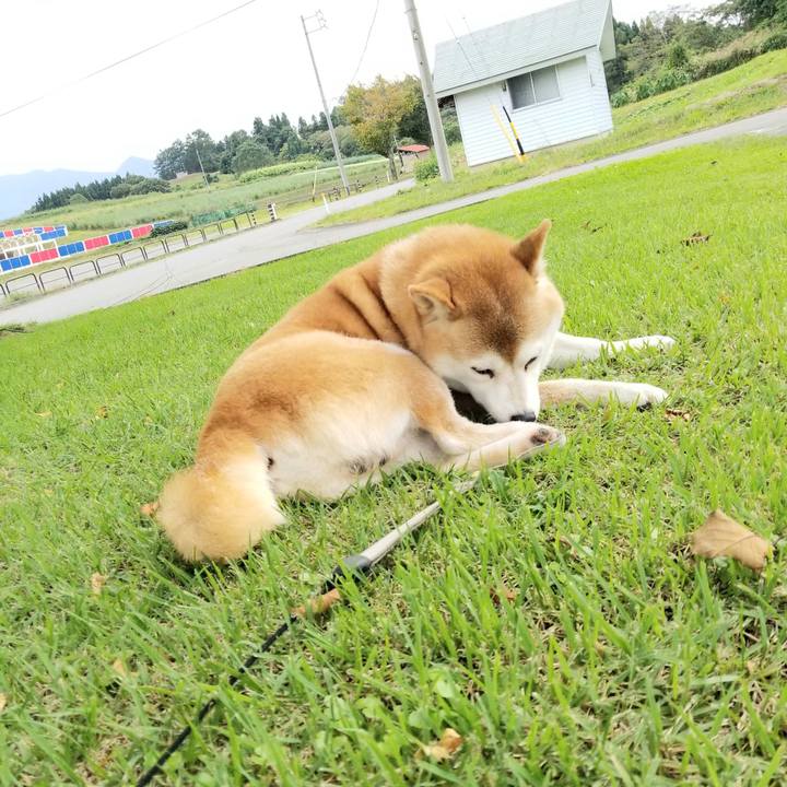 334e294b b5d4 4b2b a14f ef2f0dbaf67c 1631853621396