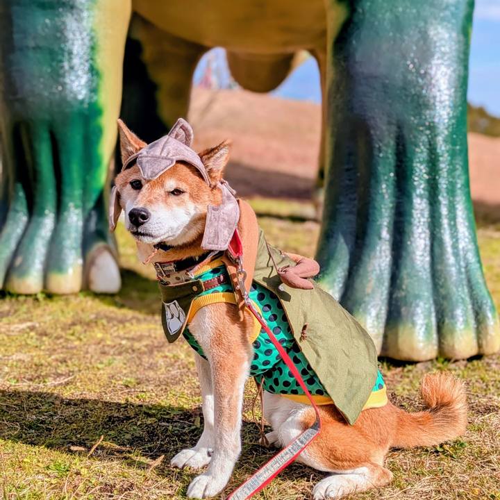 334e4ac1 19fa 4012 99fe 3e6ca941ba9a 1766119435234