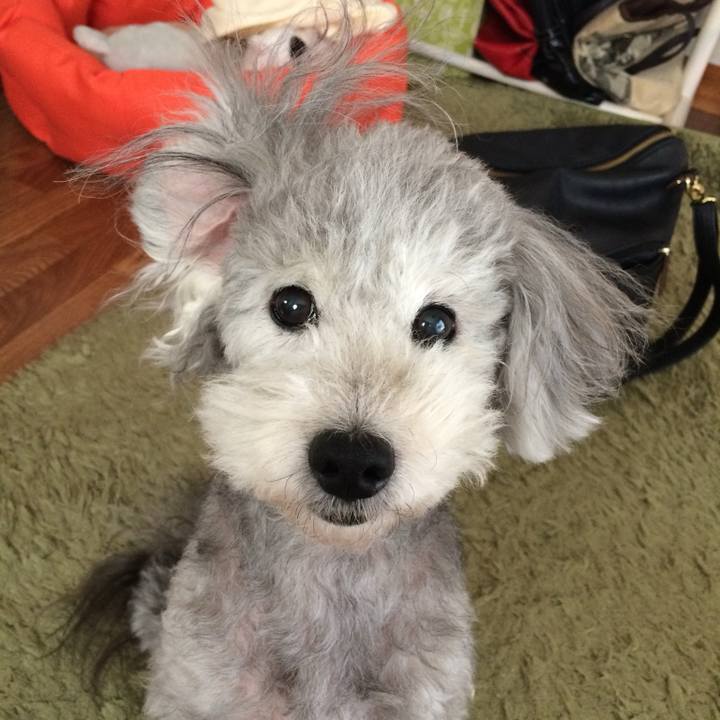 334e72f7 f17f 4284 a03a 6df5c94b02af 1746588108512