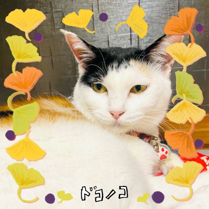 334e86b1 8d5b 432d b4e8 60da79b7656a 1729342007784