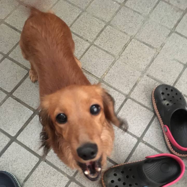 334e9445 5e47 4d66 acd2 364de1ff9ee2 1513067621570