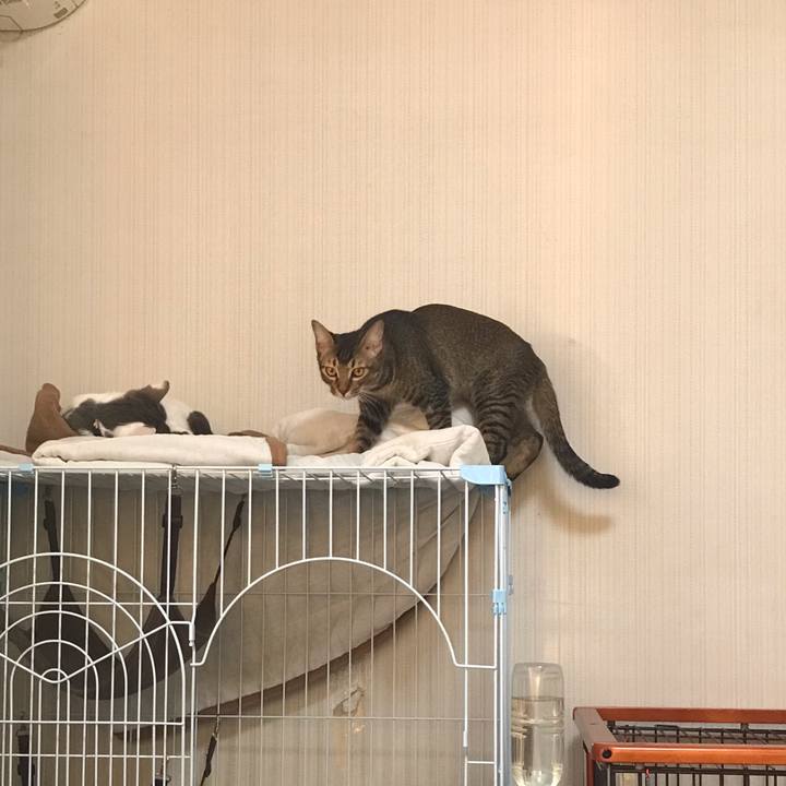 334eb24c 7211 4310 b0a5 f243fdd258b5 1547192451117