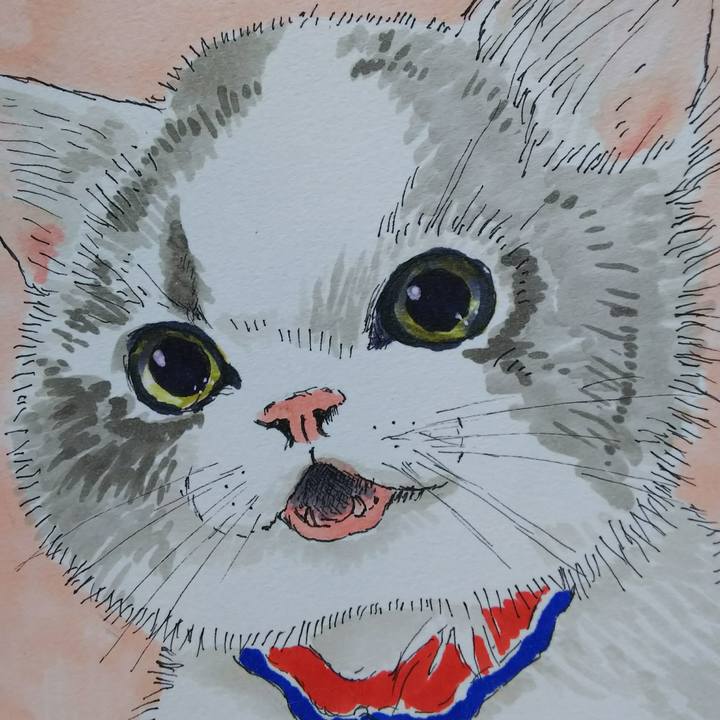 334edf61 5439 4ff4 89ac 9a3adfc7d69a 1525396768812