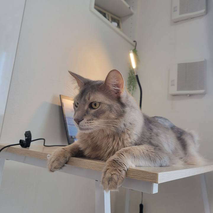 334ee773 7fdf 434d 8256 17e1fe4a0608 1649733608691