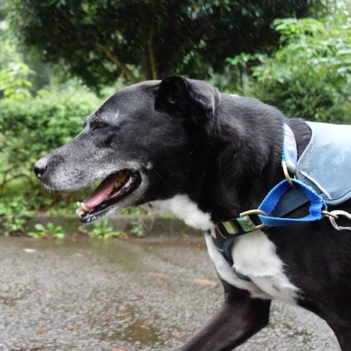 334ef4c6 75df 4afa a182 4630174a08fb 1728170632582