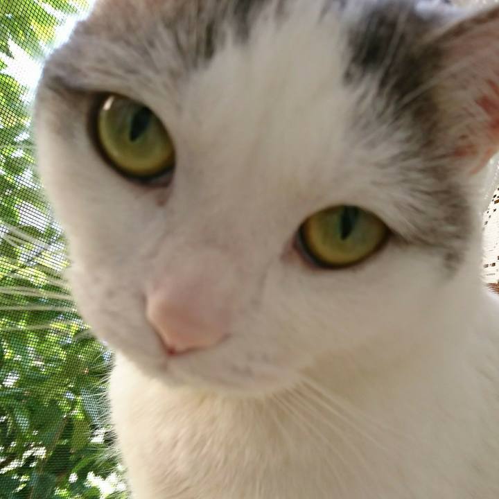 334f0bba 3e5b 4c46 b13f 21785c4e41bd 1512453826882