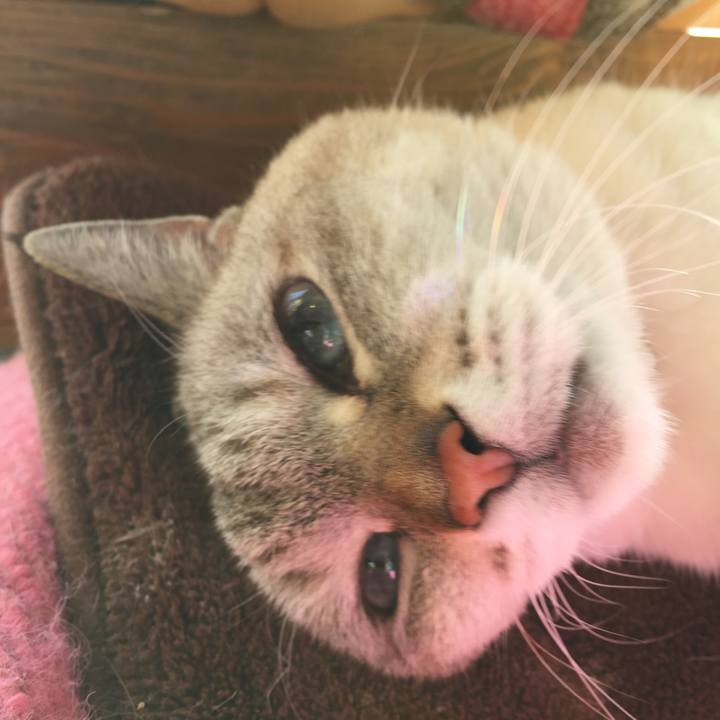 334f3bad e51b 49de b0de 36309ec22516 1573018081288