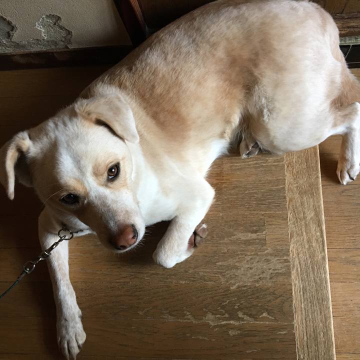 334fd583 9995 44b0 a128 b9c336cbf4f4 1516274015581