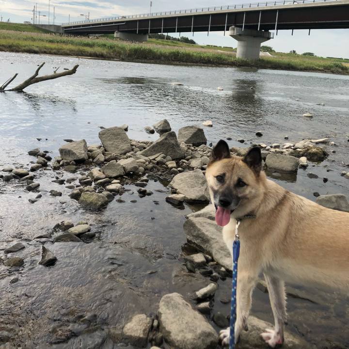 334fe4a9 48ca 4328 81d2 7f3c43f24686 1634386146739