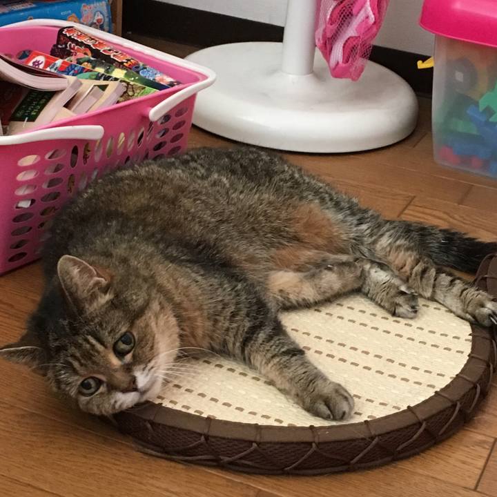 33501afd ff6e 4dd9 a4e0 ce0b1ed17603 1530675549690