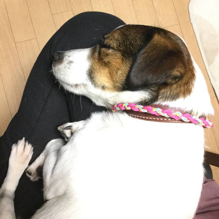 33502065 f9db 4c56 97e0 535fdcf8b33b 1514199238883