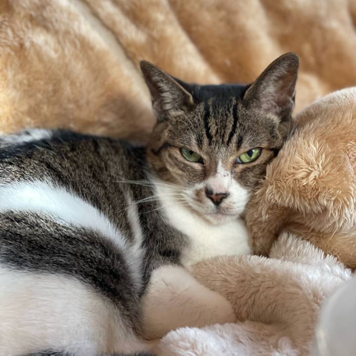 3350265c 0647 4dae b377 1b22228e19ee 1643163327882