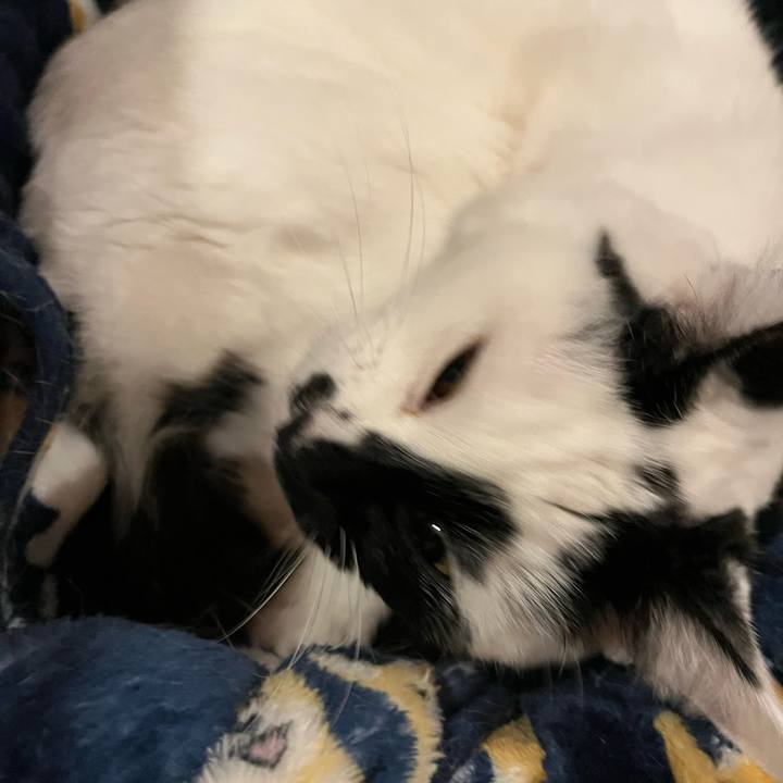 33506b0f ec9f 4a4c 908d 914455c86349 1772922756318