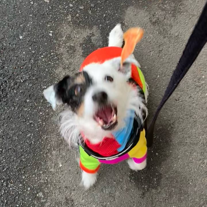 3350b026 7fc6 4a97 86ae 9cf28933c234 1711179217619