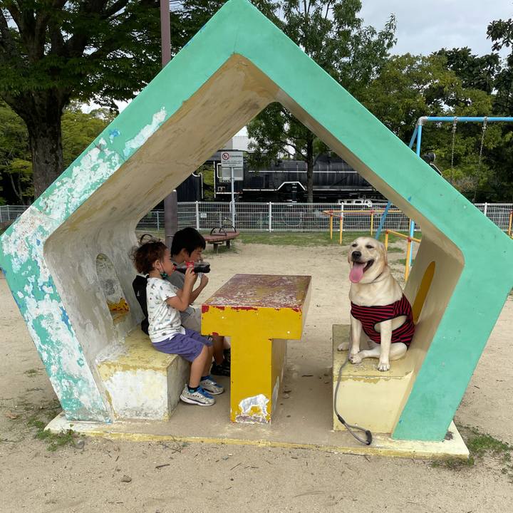 3350e141 9356 4f47 b8f9 1039541e2418 1630997360900