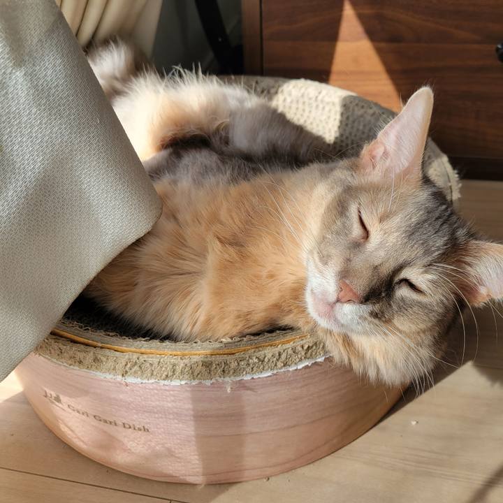 33511961 3b6c 4aea 83eb 58f22dab74b3 1634518561495