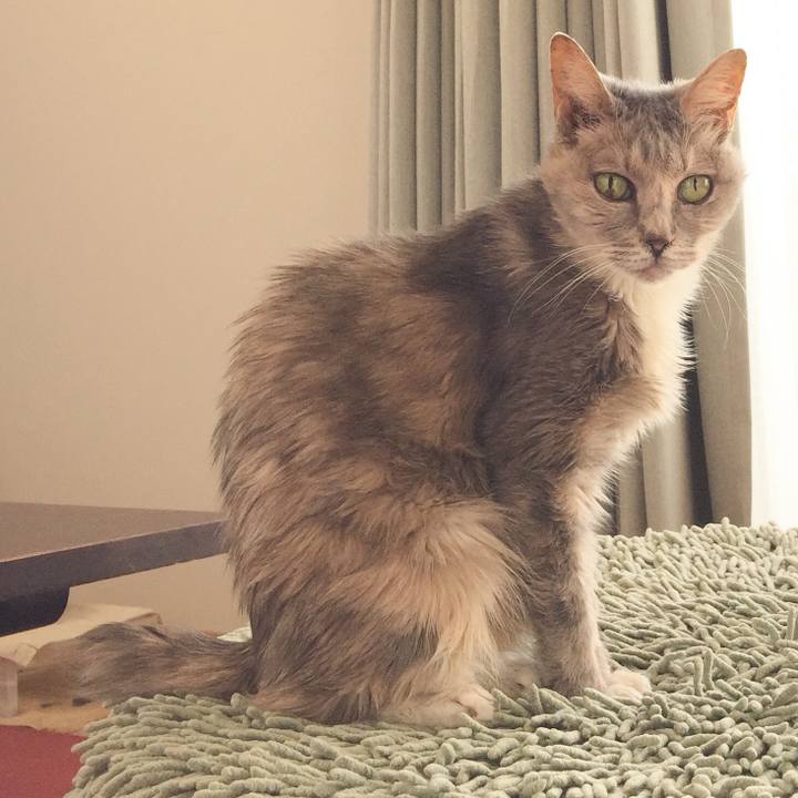 33517a50 225f 45c1 81ce ac99595e4cb4 1592399810398