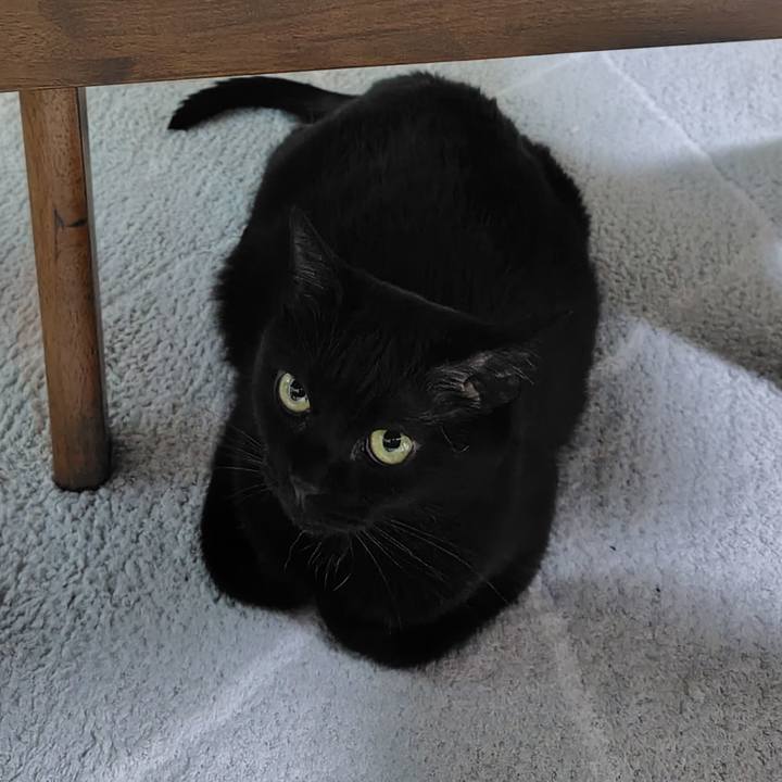 3351c4c4 3d35 4478 a0d1 2b8dc2665606 1723895541257