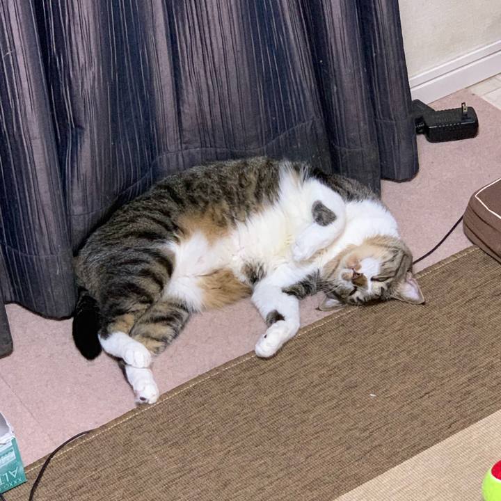 3351e265 5eba 4bbd 86ed 220125624295 1551524262513