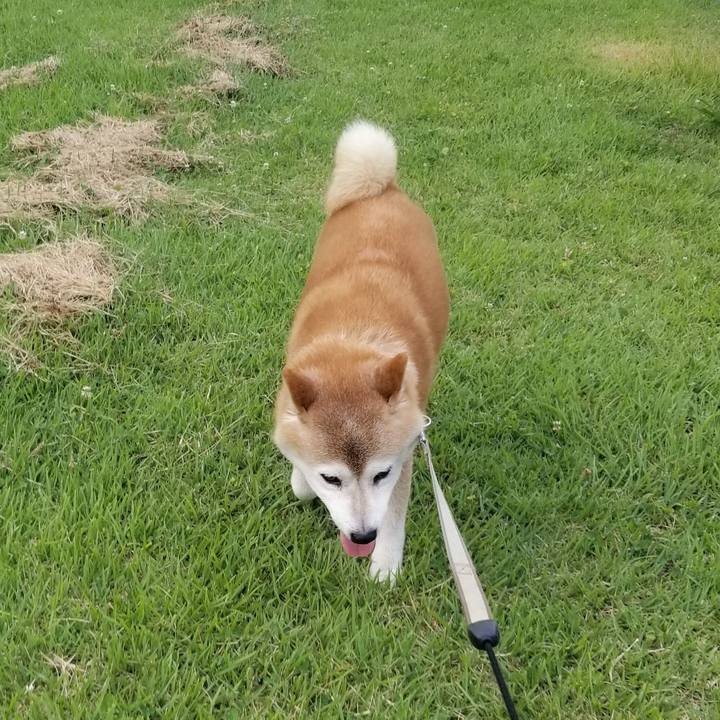 33520d7f 9663 46cb 9e3f d8cdabe53252 1690619984739