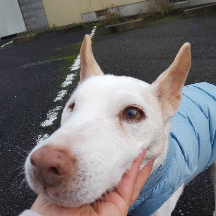 3352b068 28b4 4013 8f0f cf068e066588 1543444308244