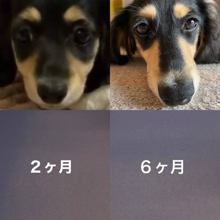 3352bd9e b759 4be6 a7d0 43dcb94fd6aa 1675310080452