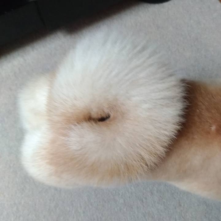 3352ec98 f0ec 4b3b aa3c 8e97250e4098 1551399845669