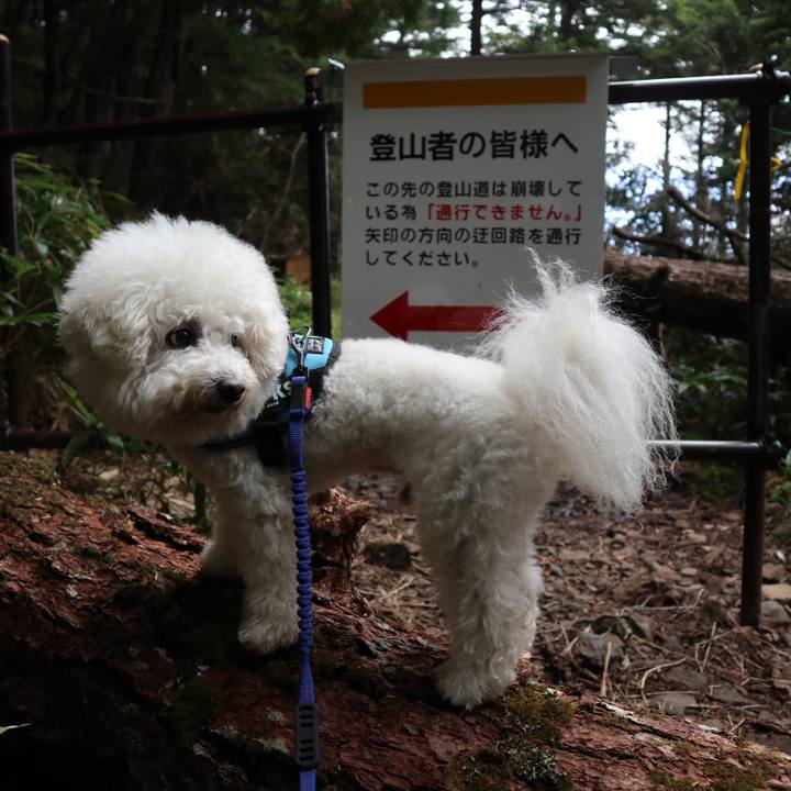 33534531 b5d1 46ed a505 3677e2e2d3d4 1569506231548