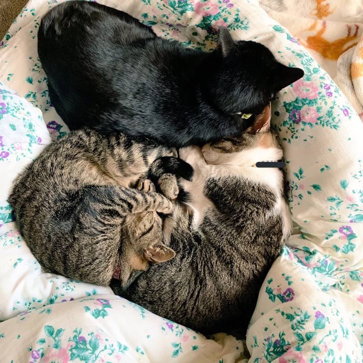 335371b7 80cc 4d26 bf01 edd7f5ecfa73 1544598683402