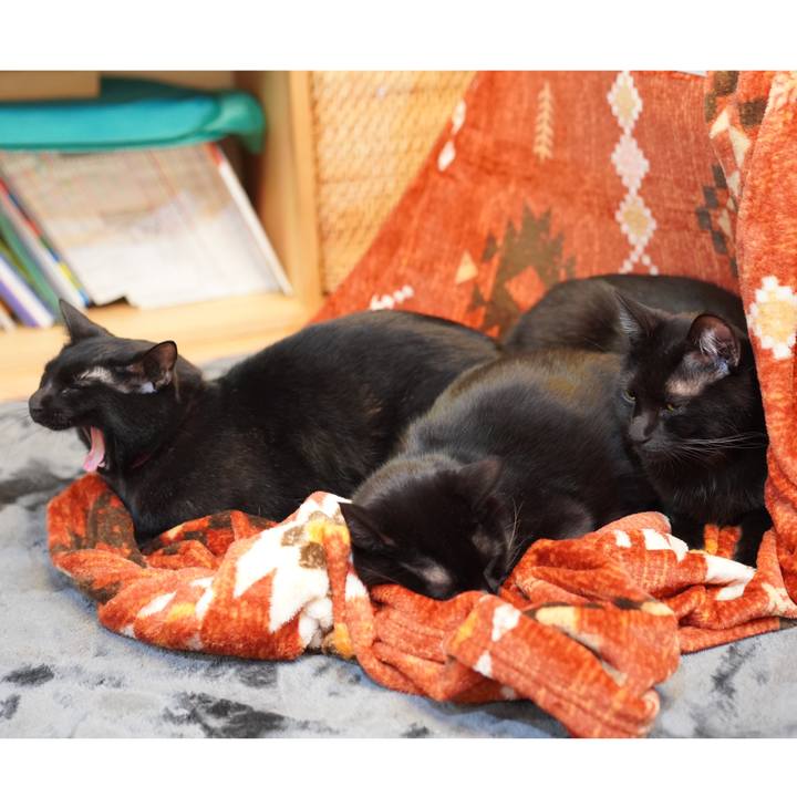 33537de0 dc22 44c0 8166 a4a80fde008d 1577060721669