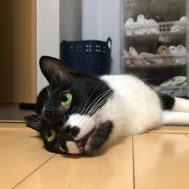 33541e0a 77e4 4831 8339 e59311d15397 1564932311135