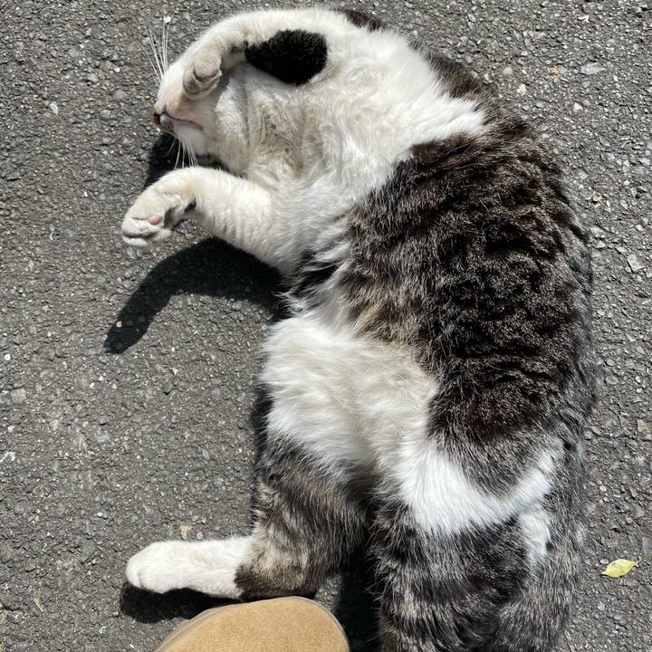 335421db d731 48d8 97fc d4bfdb8f9ede 1616046823615