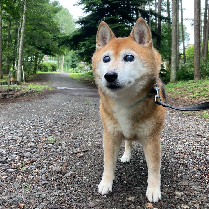 33543dc5 2d12 4683 91d5 e3e1699e174f 1724592139223