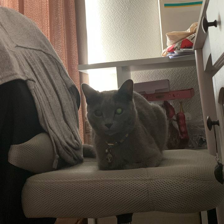 335444e5 0859 42bd 8503 e851a3329e0f 1662178077431