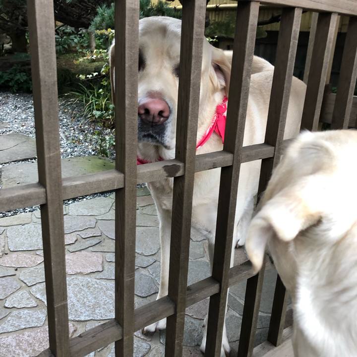 33546fe1 cd9f 433a 99e1 d46580eed1a3 1580732110876