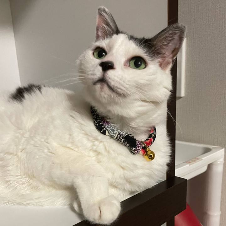 33549416 939d 46d4 be25 913288567542 1687876446574