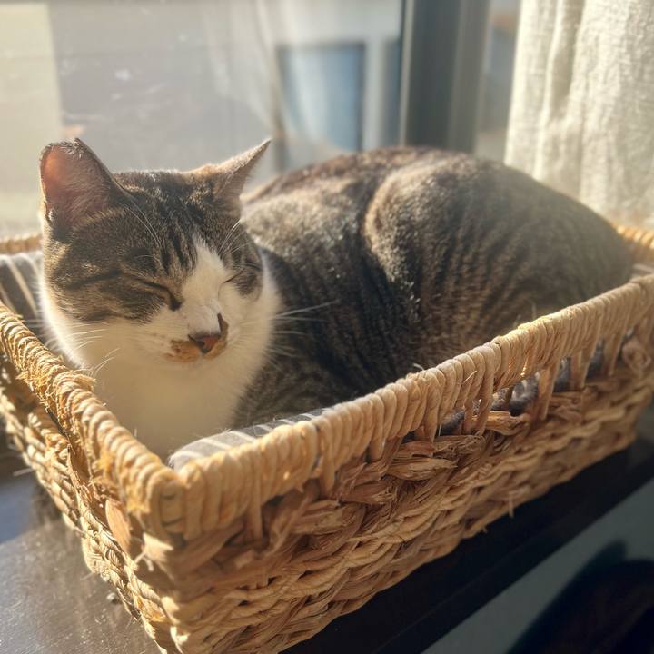 33549a56 646c 4444 a627 6e0e547f29a4 1763994471745