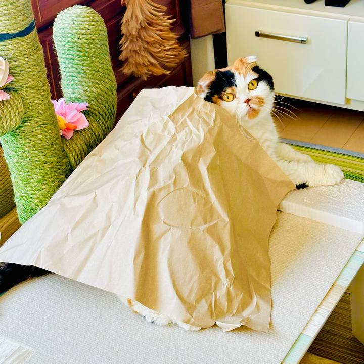 3354de03 f7b7 4c7d bc32 5e8c57feccd0 1725528630936