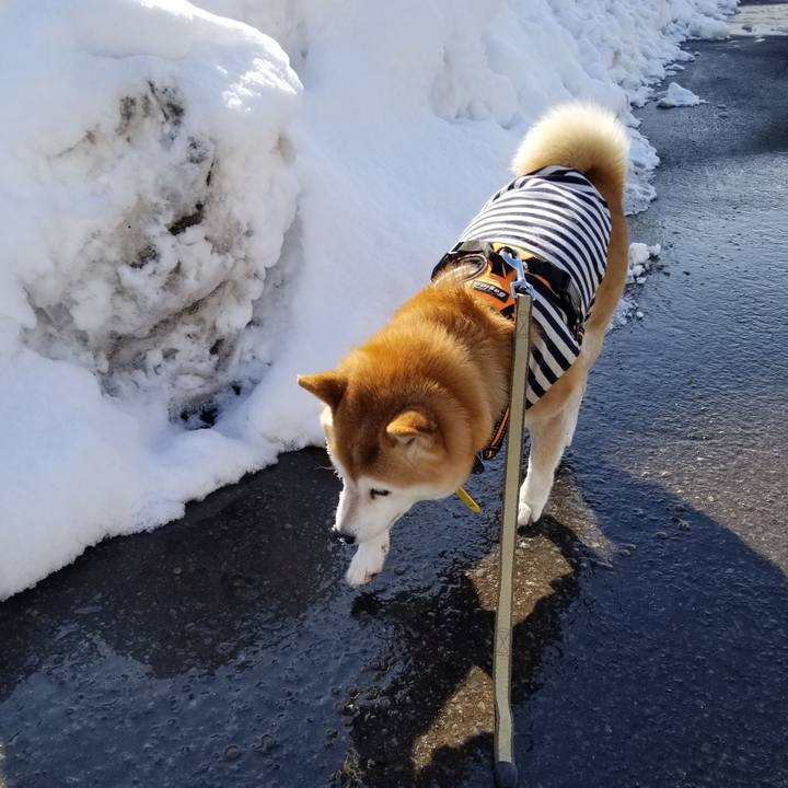 3354eec1 62ad 49c5 861f 709b48492ac2 1643688802865