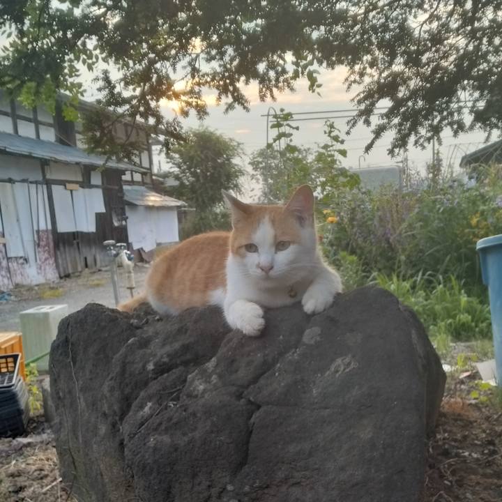 335505cb c090 472a a476 77d63c5b7a12 1751579159179