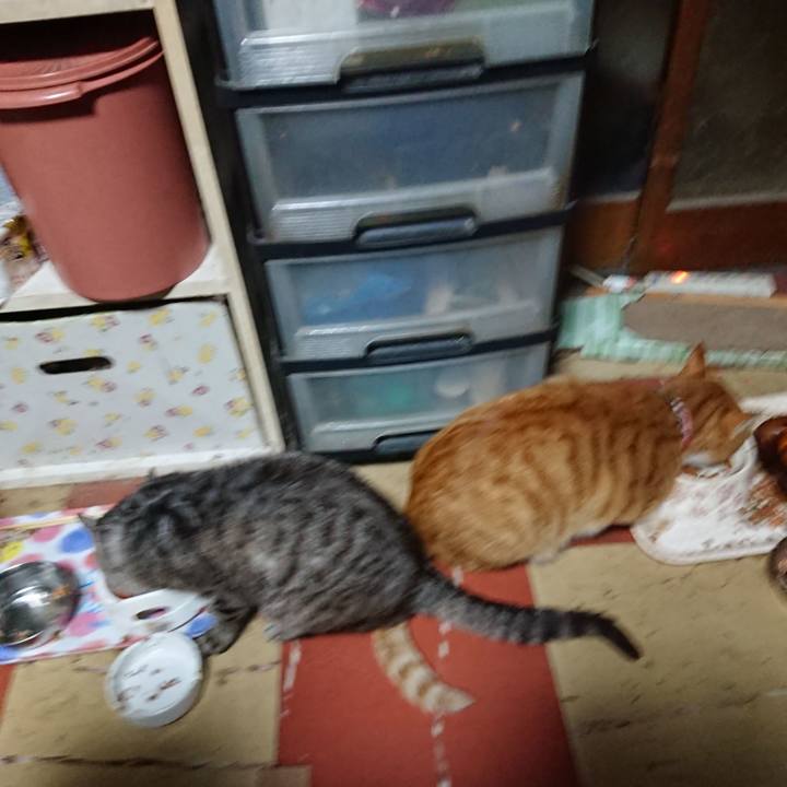 33552f6d 2e67 4472 97a2 d46342495b4b 1570823538288