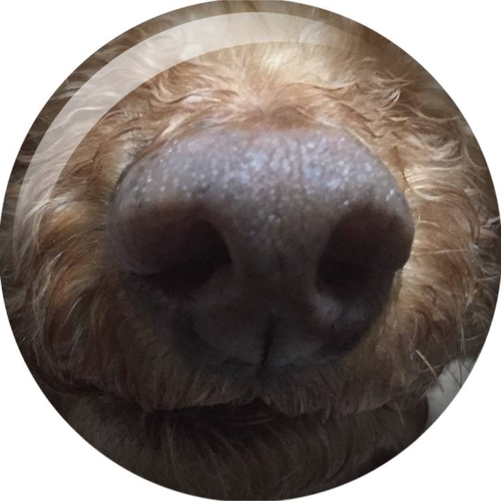 33553dd7 a8a1 482d afa3 43cacb3f55c6 1523443239744