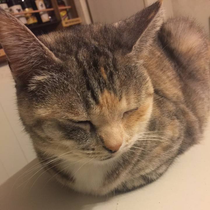 33554e56 93d3 4aeb 93de a7d0112e3206 1552921278838