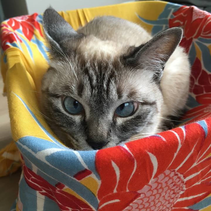 33554fd6 d005 4cd7 b8c8 16a5e005aaf3 1590565412326