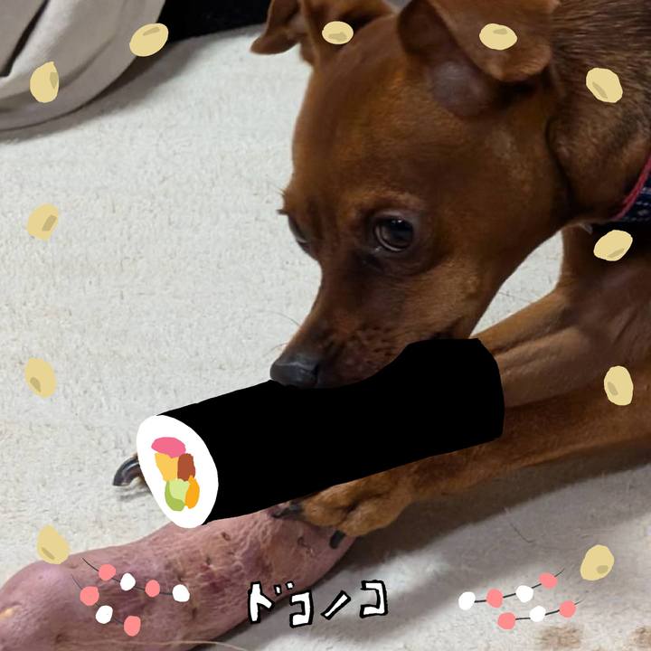 33555abd 8205 4c8a b5a2 aad321af562f 1741390741893