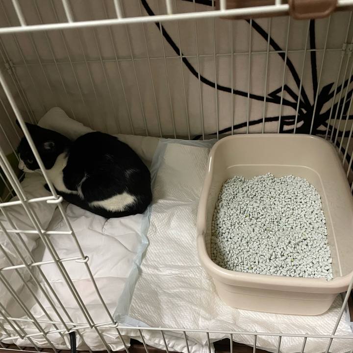 335560c5 611c 4443 bbc5 d1a03a72aa3a 1677256180134