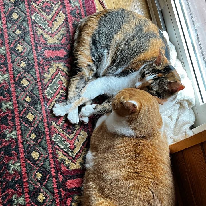 335580e9 4b55 44c5 bd87 ac63736029de 1718347773364