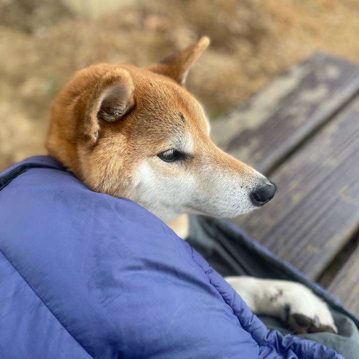 3355a9db eb7b 4ca0 a126 fcb8d63ac19f 1764855782643