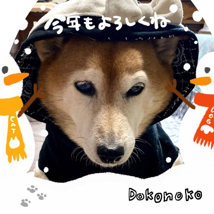 3355bc3f 916d 4b45 adfd 8f8473235fea 1704075609965